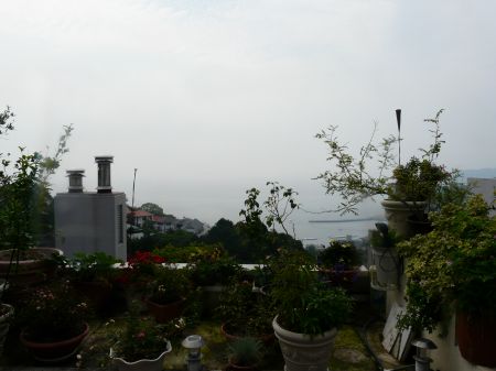 2009年6月13日 ホタルは撮れなかった_b0098584_744132.jpg