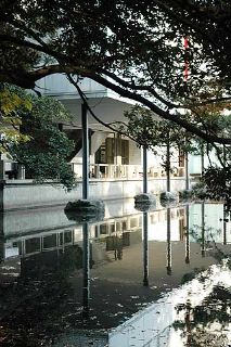 2009年6月13日 ホタルは撮れなかった_b0098584_747295.jpg