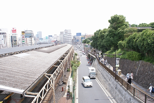 上野台地の始まりを見る～パンダ橋～_f0159291_1721813.jpg