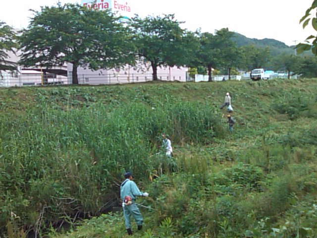 特別養護老人ホーム視察、矢田川の草刈り_e0068696_1749483.jpg