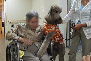 b0154898_2323412.gif