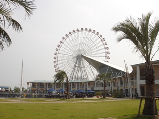 e0143298_228378.jpg