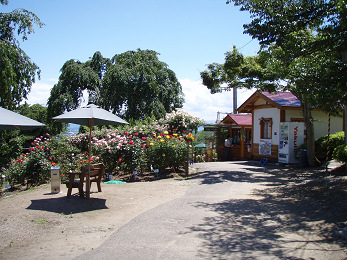 b0074601_22323645.jpg