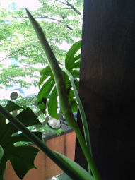 c0161102_12274434.jpg