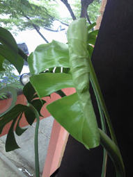 c0161102_1228659.jpg
