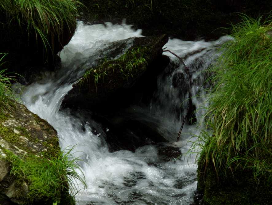 d0140806_9145292.jpg