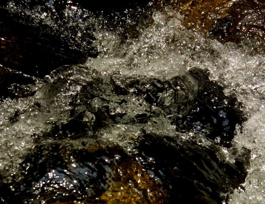 d0140806_972274.jpg