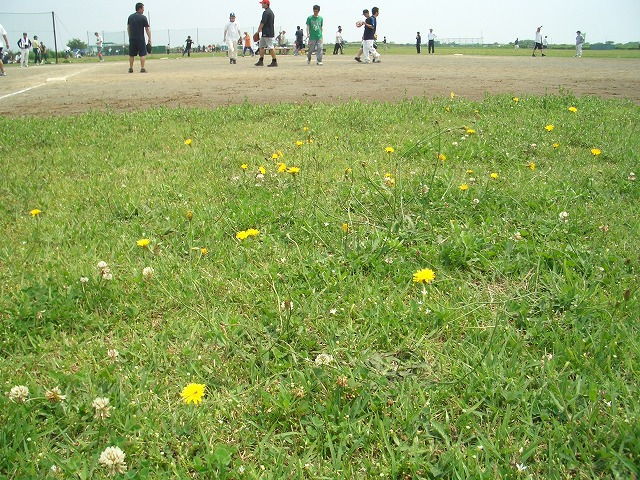 今年も参加!「富士市職員ソフトボール大会」_f0141310_2337234.jpg