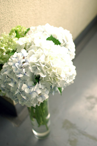 紫陽花_d0023111_6594819.jpg