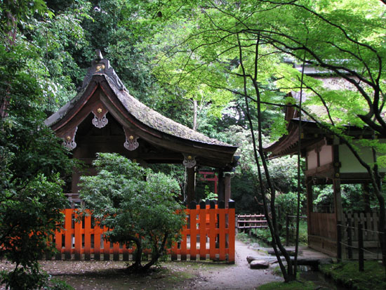 上賀茂神社 朝参り_e0048413_22135560.jpg