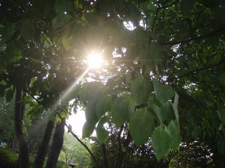 f0201014_1422766.jpg