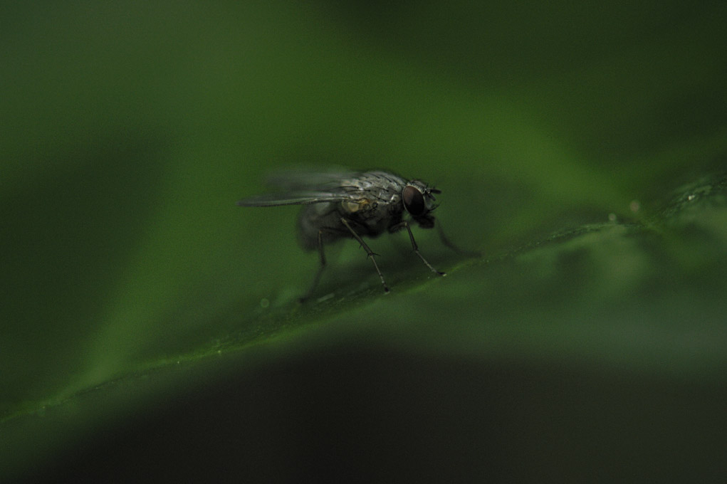 b0148016_016262.jpg