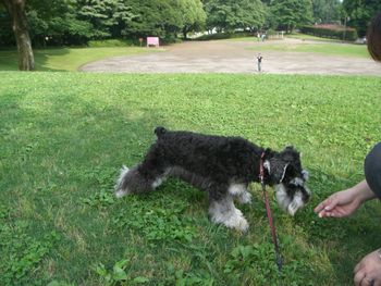 カレーランチ＆公園散歩_f0197317_21474311.jpg