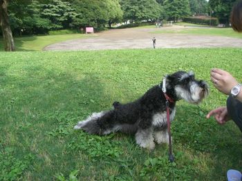 カレーランチ＆公園散歩_f0197317_21482124.jpg