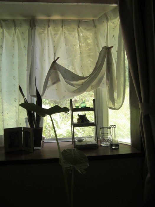 f0208418_13431569.jpg