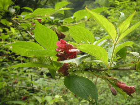 a0048823_20392946.jpg