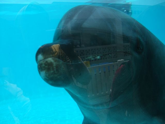 f0035830_2225388.jpg