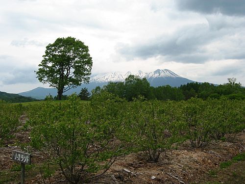 f0076731_1281942.jpg