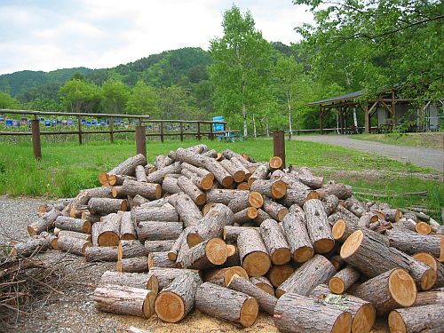f0076731_1283776.jpg