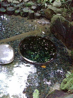 f0195131_0551729.jpg