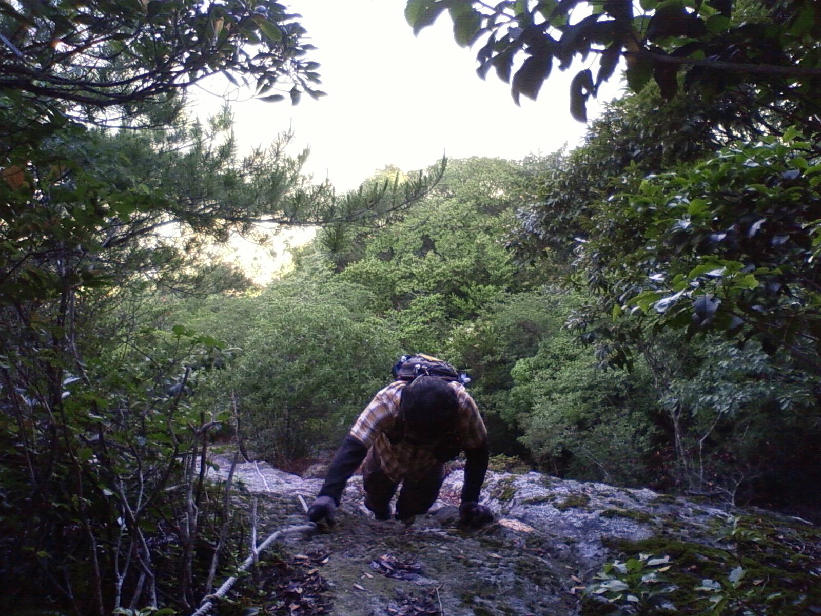 e0138939_23333019.jpg