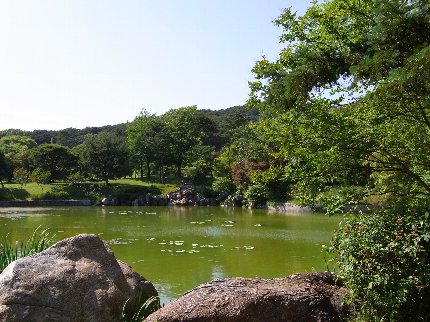 b0060042_12257.jpg
