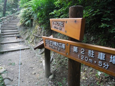 c0119142_23162485.jpg