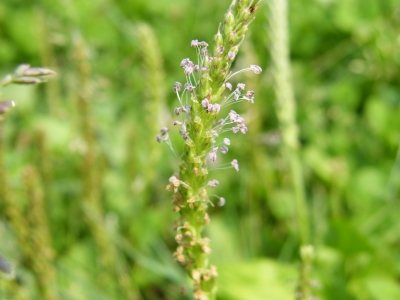 b0142548_3315474.jpg