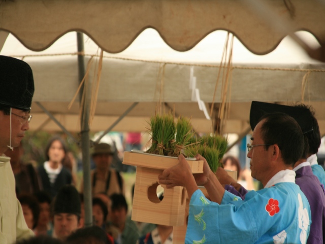 太宰府天満宮のお田植え神事_b0124456_16255969.jpg