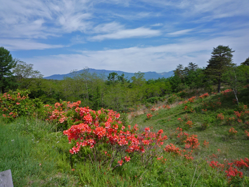 b0045357_3304879.jpg