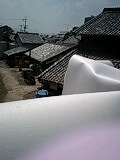 d0007957_228154.jpg
