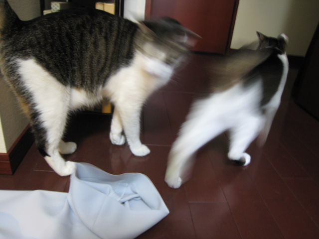 f0135859_20424899.jpg