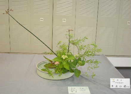 e0086864_2243522.jpg