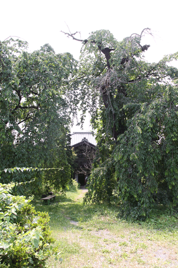 f0107364_9334270.gif