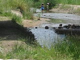 水遊び～梶原川で初夏の到来を楽しむ子供達_a0093965_22352196.jpg