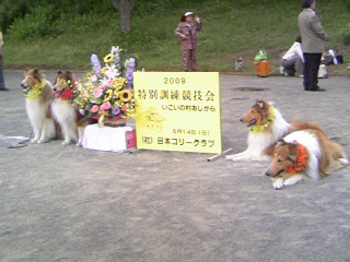 特別家庭犬訓練競技会_f0126965_1164429.jpg