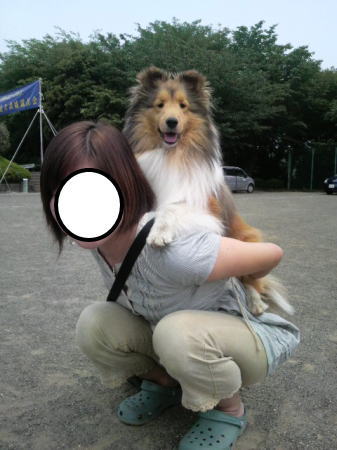 特別家庭犬訓練競技会_f0126965_117554.jpg