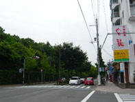 b0139666_2332393.jpg