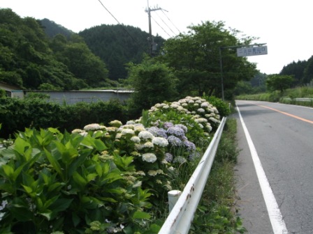 竹の内峠越えで奈良．．．でも結局いつもの大笑い・大量おみやげポタ！！(前編）_e0138081_937338.jpg