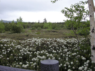 f0171283_1452856.jpg