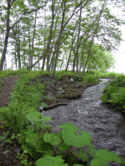 f0171283_14582764.jpg