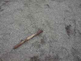 f0171283_14592784.jpg