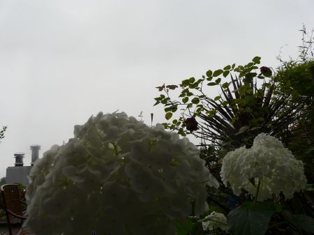 2009年6月14日 どこが晴れじゃい?_b0098584_617174.jpg