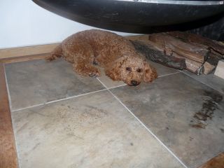 2009年6月14日 どこが晴れじゃい?_b0098584_6203944.jpg