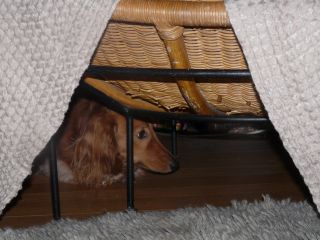 2009年6月14日 どこが晴れじゃい?_b0098584_6205882.jpg
