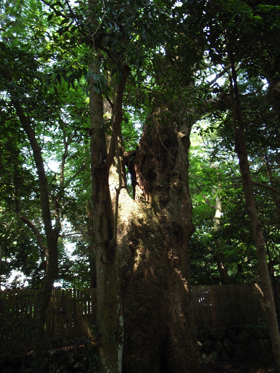 c0190391_2158958.jpg