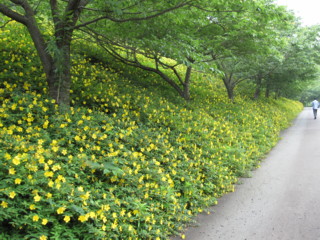 ０９梅雨の旅　そのに_f0145192_1634770.jpg