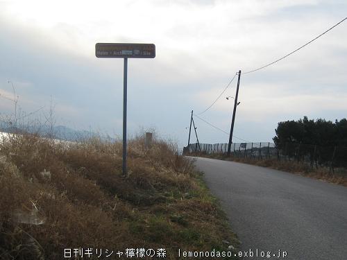 c0010496_226222.jpg