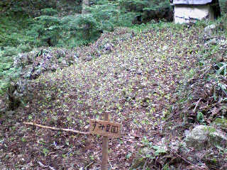 e0124705_0315072.jpg