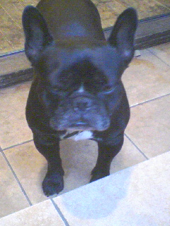 c0023406_8451511.jpg